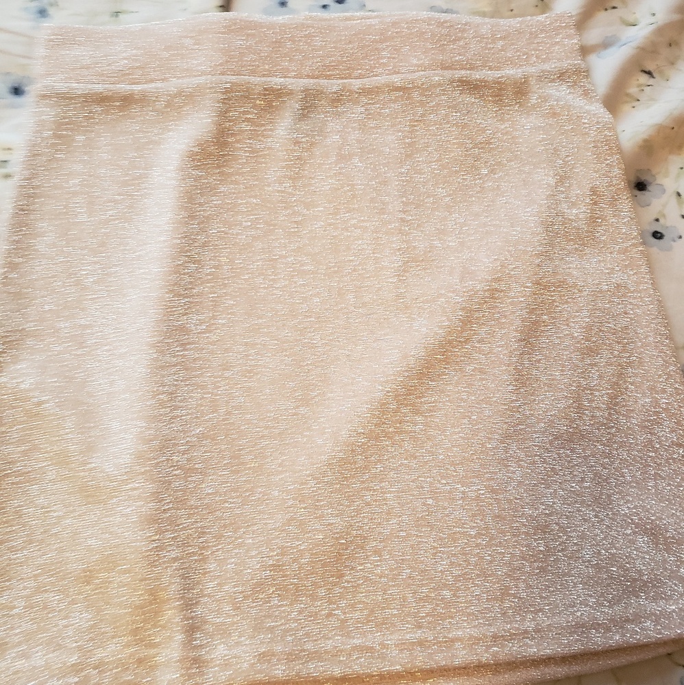 NWOT Forever21 glittery mini skirt